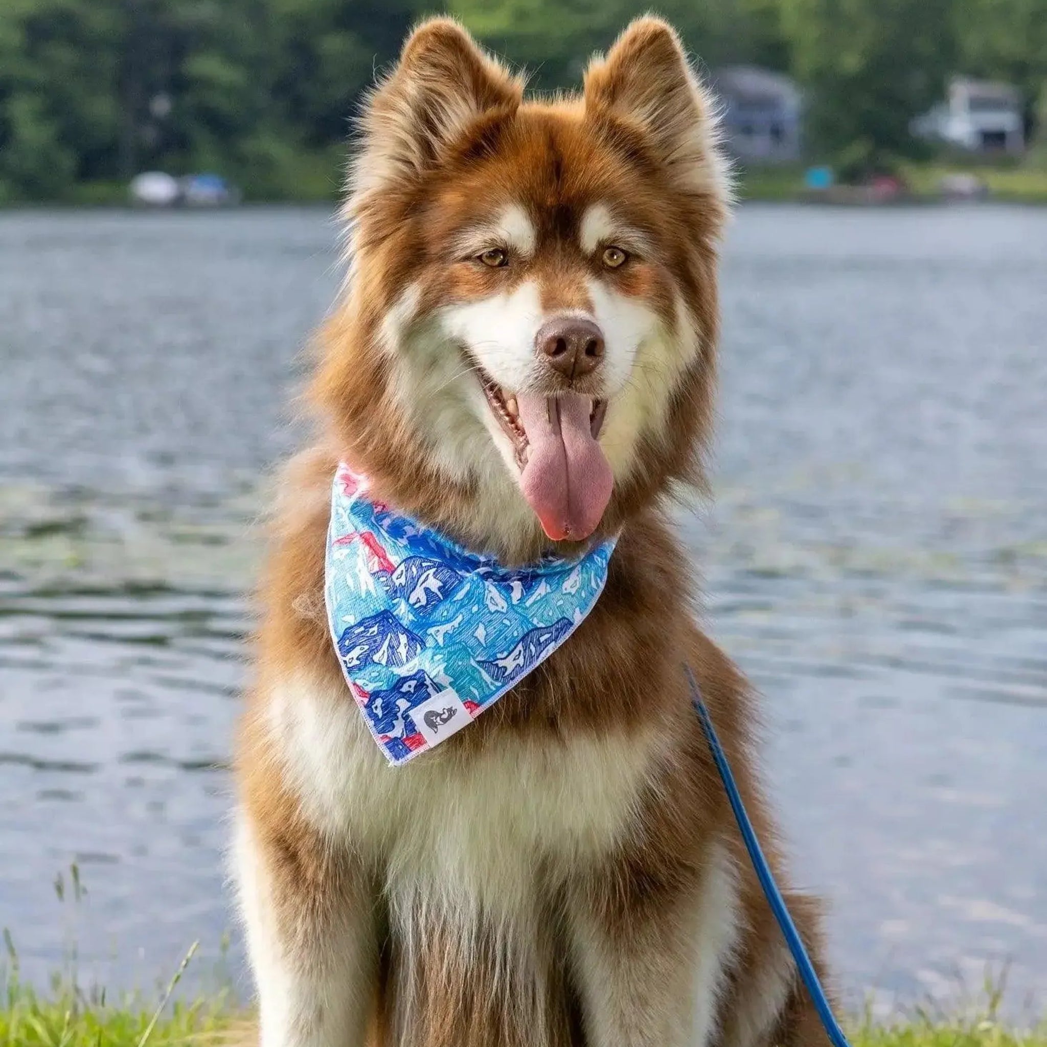 Painted Peaks Dog Bandana & Matching Keychain