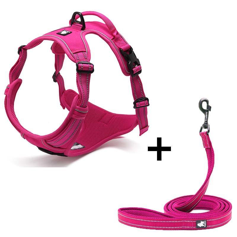 Ultimate Canine Comfort Harness - Pets Perfect