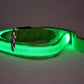 Glowing Pet Leash - Illuminated Led Dog Leash - Pets Perfect