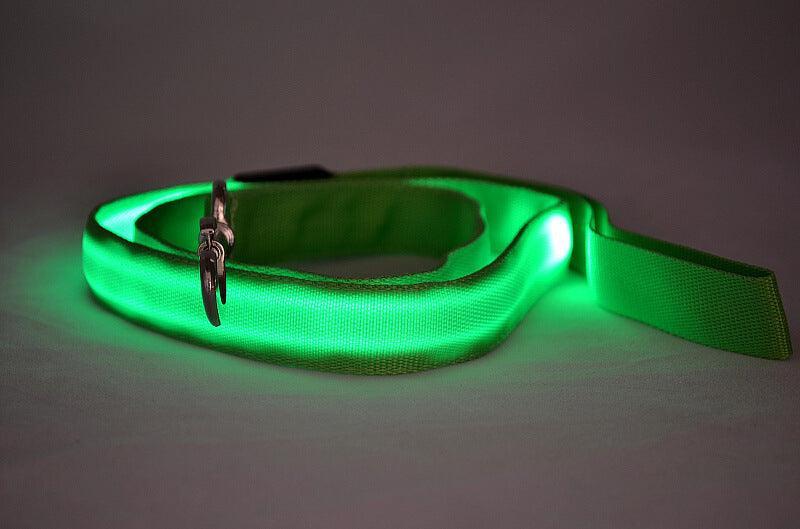 Glowing Pet Leash - Illuminated Led Dog Leash - Pets Perfect