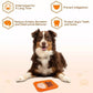 Pawsome Pets Silicone Dog Lick Mat with Dual Feeding Zones - Pets Perfect
