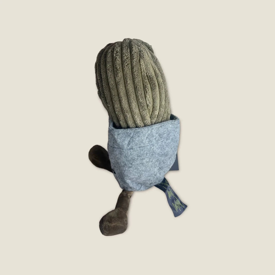 NANDOG My BFF Cactus Pot - Pets Perfect