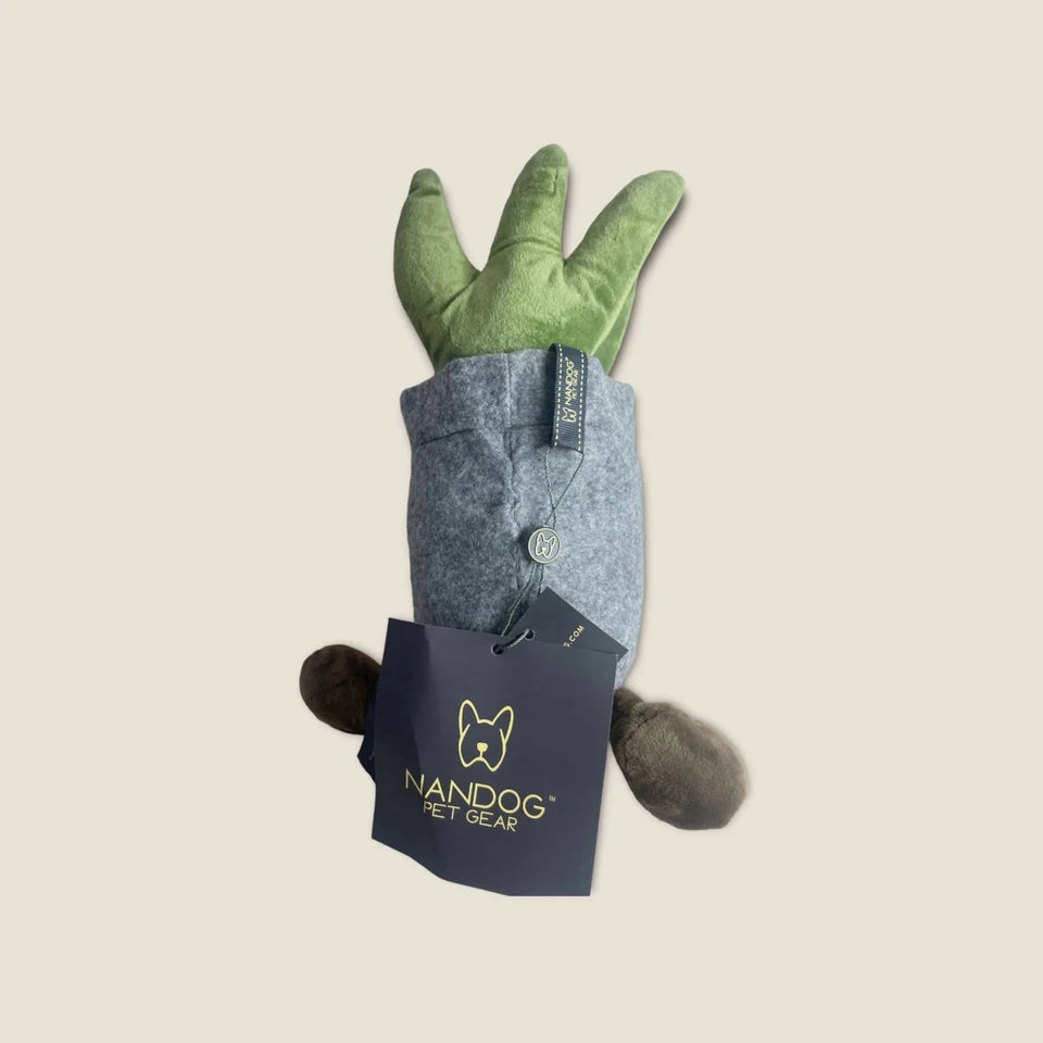 NANDOG My BFF Succulent Pot - Pets Perfect