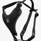 NANDOG Neoprene Sport Dog Harness