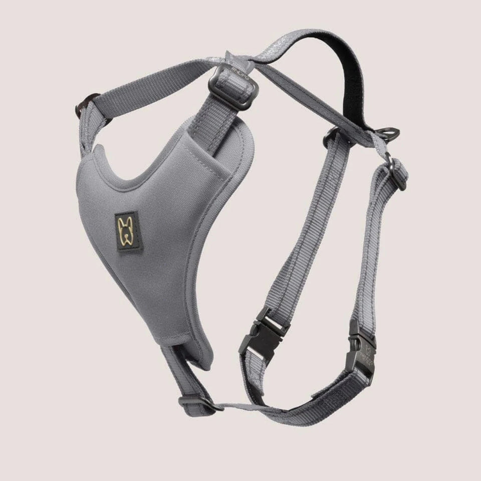 NANDOG Neoprene Sport Dog Harness - Pets Perfect