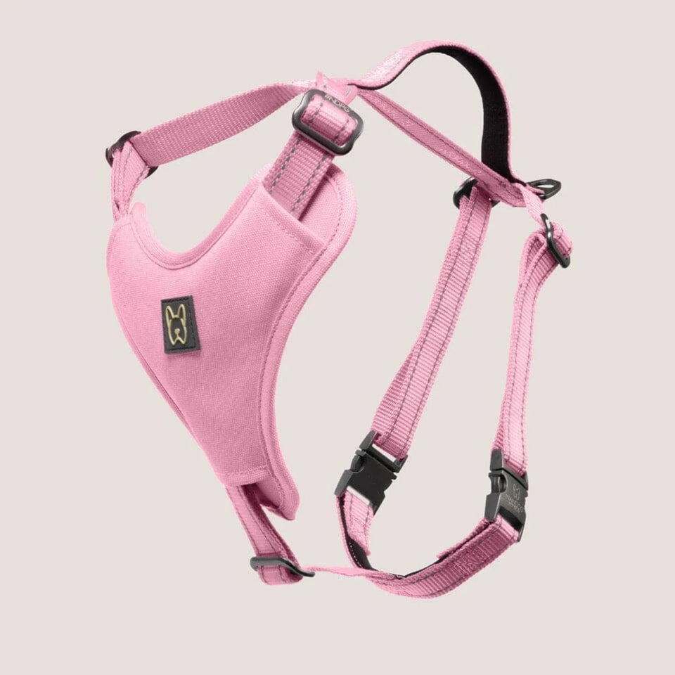 NANDOG Neoprene Sport Dog Harness - Pets Perfect