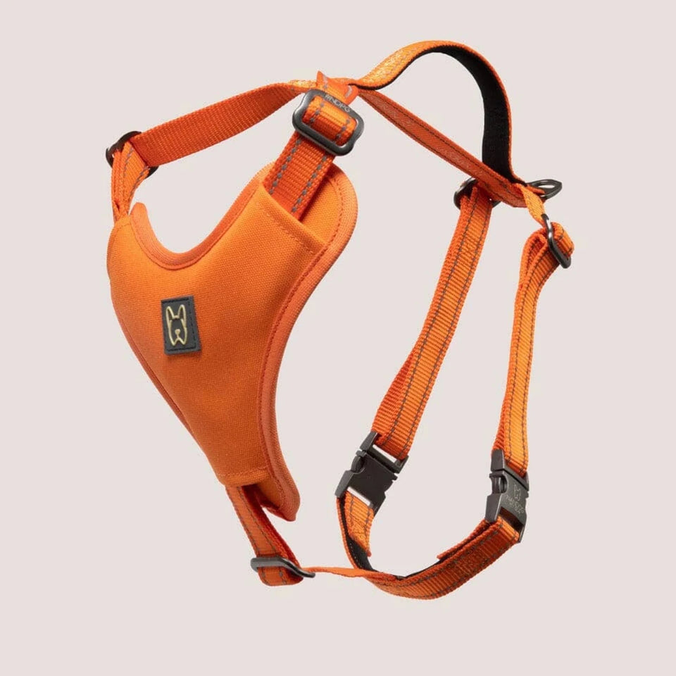 NANDOG Neoprene Sport Dog Harness - Pets Perfect