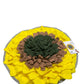 NANDOG Interactive Pet Snuffle Mat