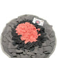 NANDOG Interactive Pet Snuffle Mat