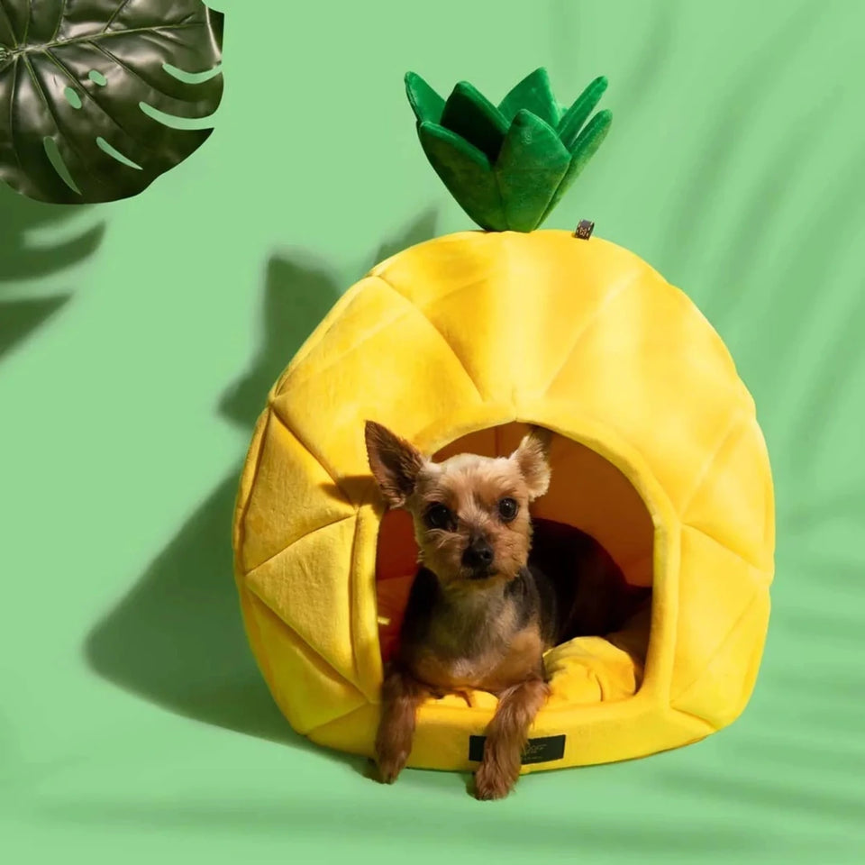 NANDOG Prive Collection Pineapple Bed-LARGE - Pets Perfect