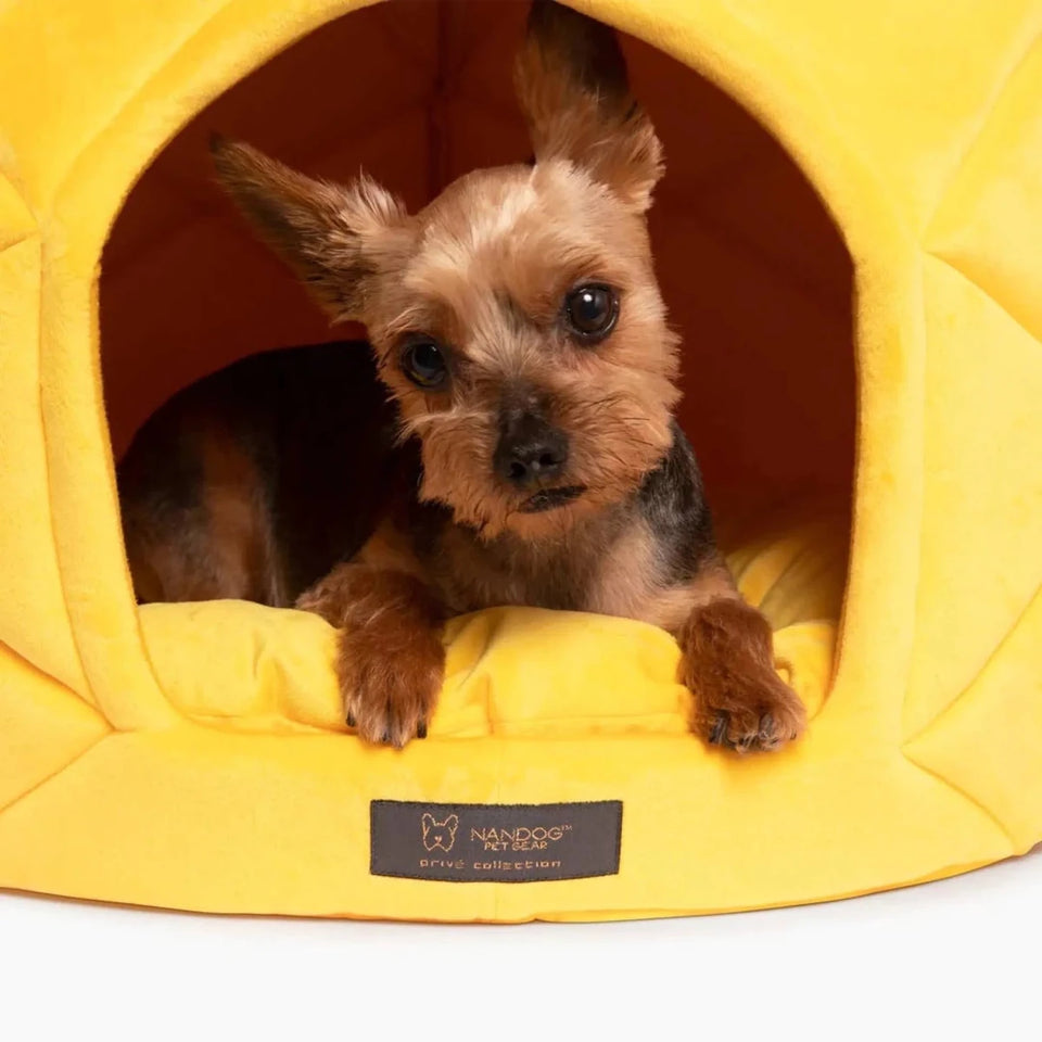NANDOG Prive Collection Pineapple Bed-LARGE - Pets Perfect