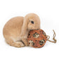 Natural Straw Hanging Chew Toy for Small Pets - Pets Perfect