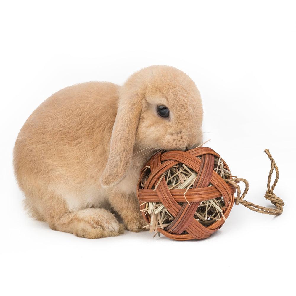 Natural Straw Hanging Chew Toy for Small Pets - Pets Perfect