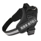 Ultimate Pet Adventure Set: Adjustable Chest Harness With Dog Leash - Pets Perfect