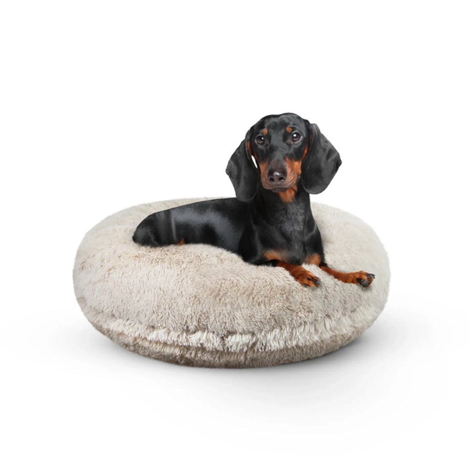 Bagel Bed Small - Blondie - Pets Perfect