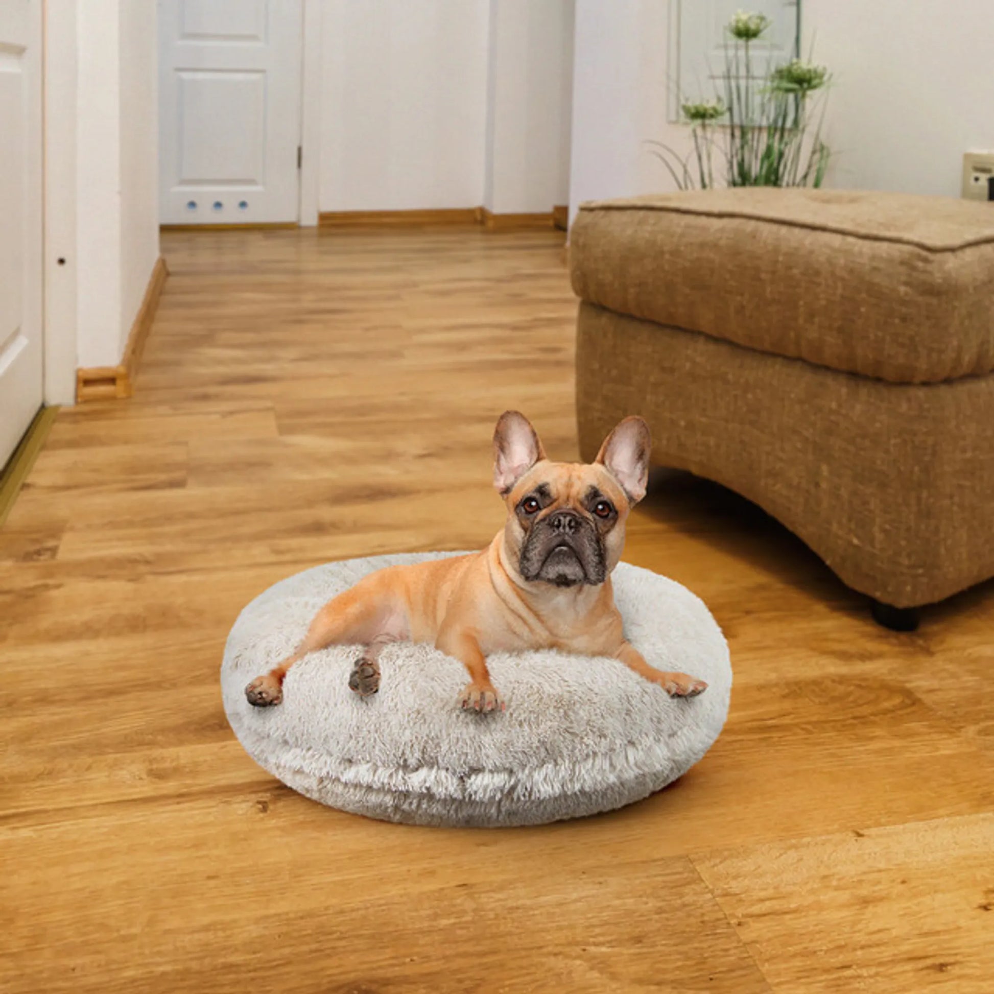 Bagel Bed SM - Blondie - Pets Perfect