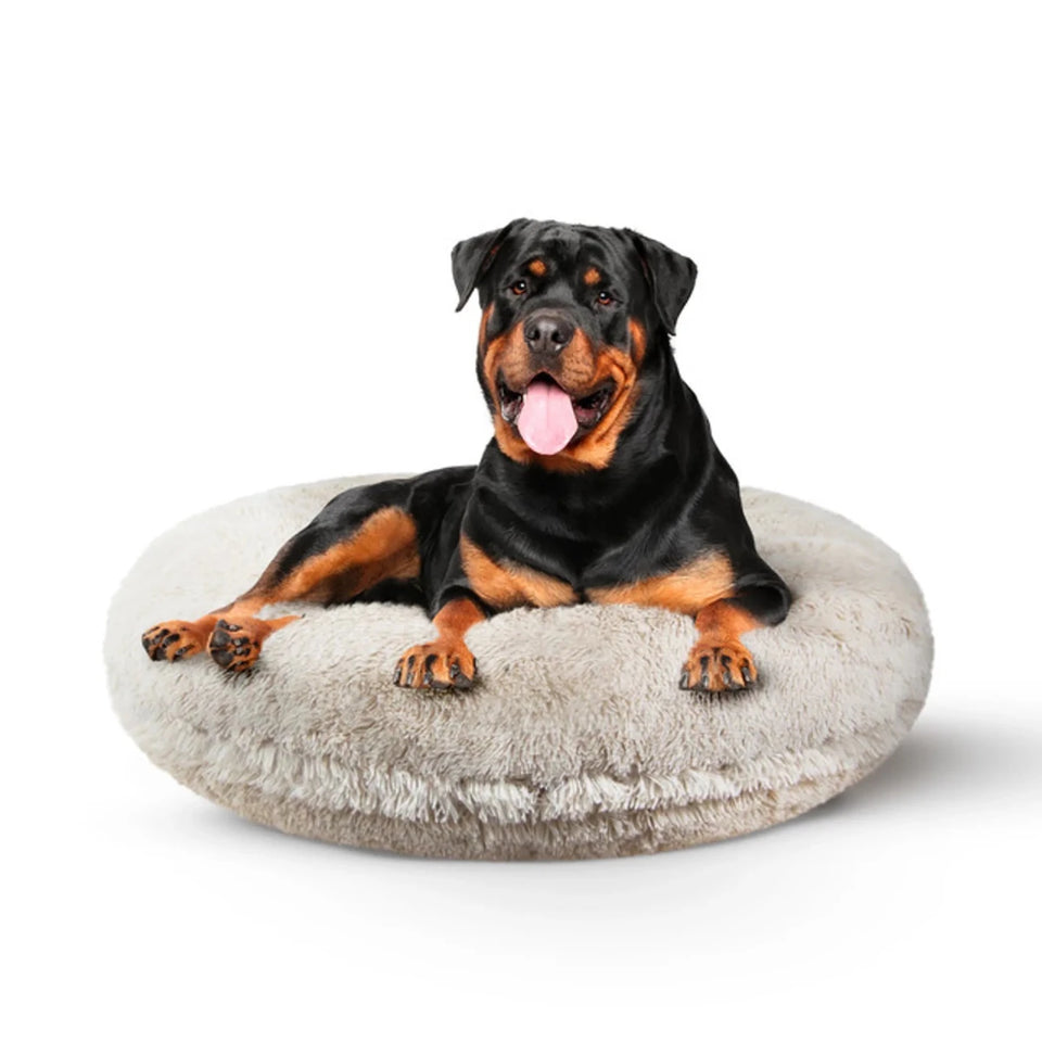 Bagel Bed Small - Blondie - Pets Perfect