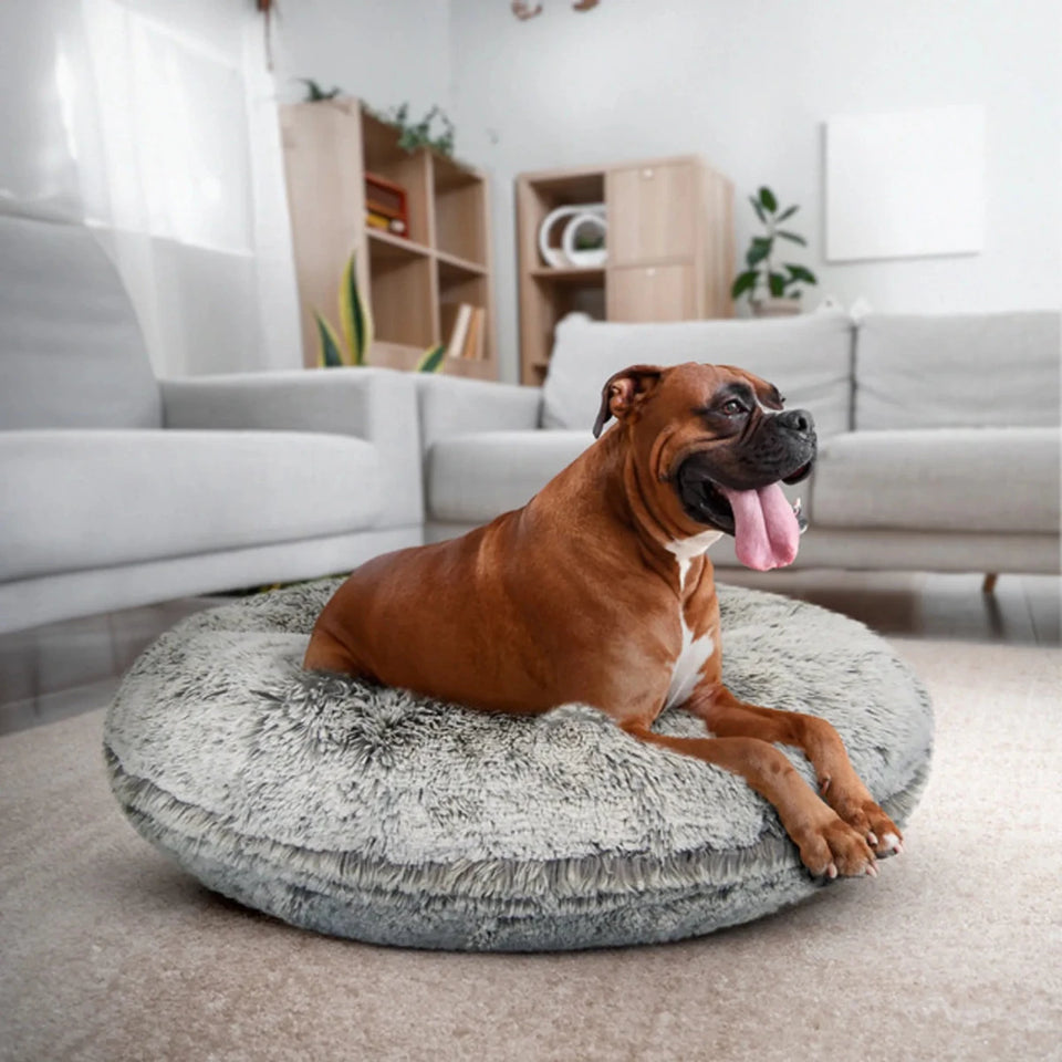 Bagel Bed Small - Blondie - Pets Perfect