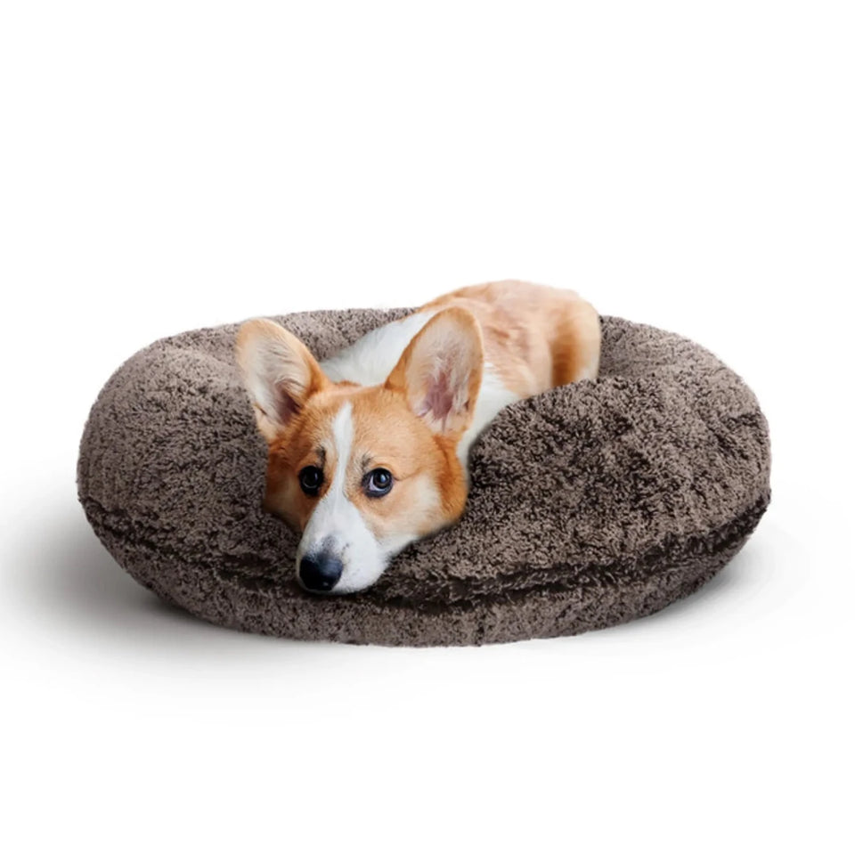 Bagel Bed Small - Blondie - Pets Perfect