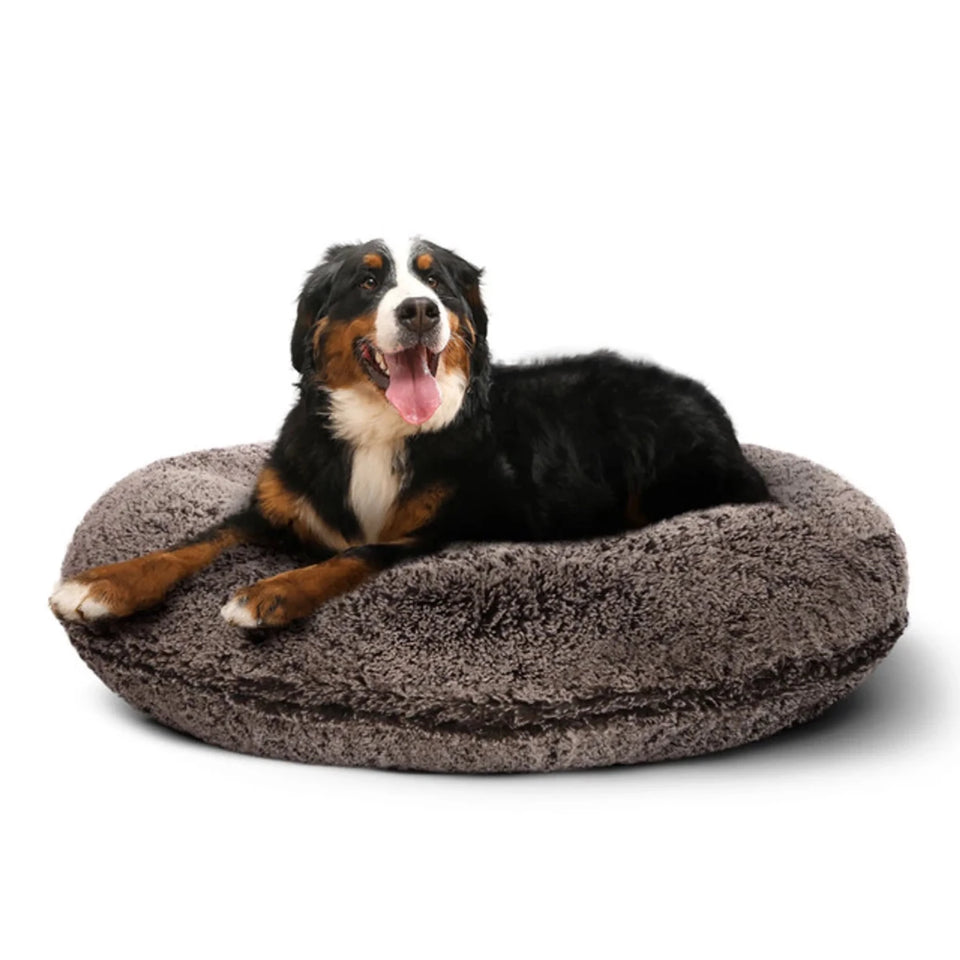 Bagel Bed Small - Blondie - Pets Perfect