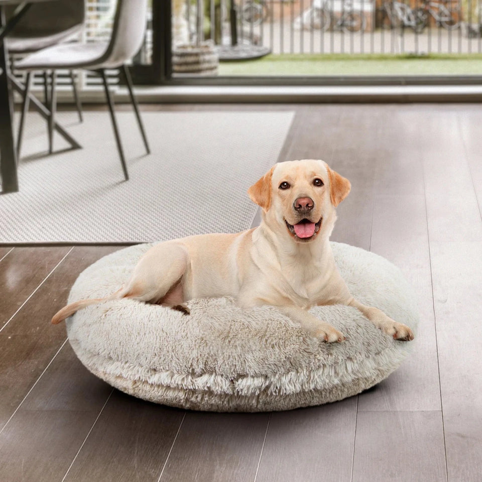 Bagel Bed Small - Blondie - Pets Perfect
