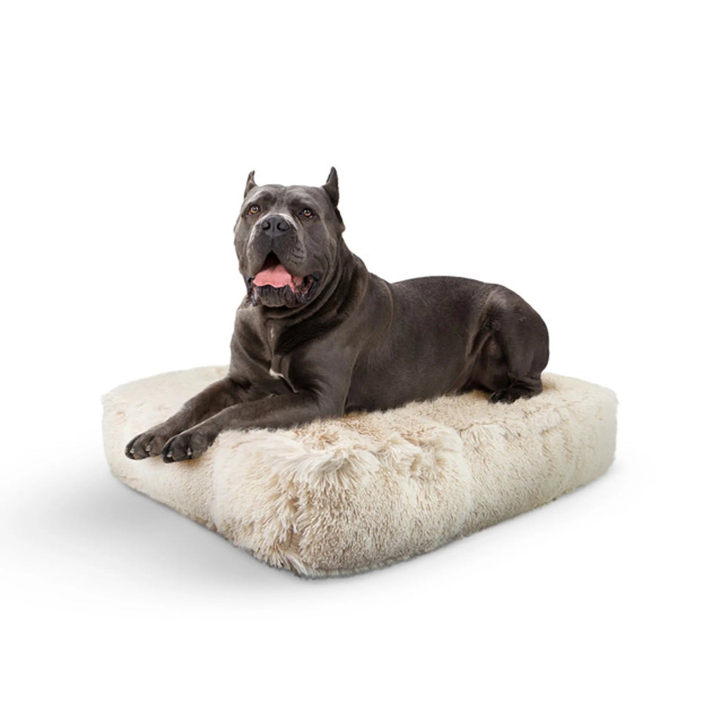 Bessie and Barnie Frosted Willow Rectangle Dog Bed Small - Luxury Plush Pet Bed with 5 Pillows & Washable Cover - Pets Perfect