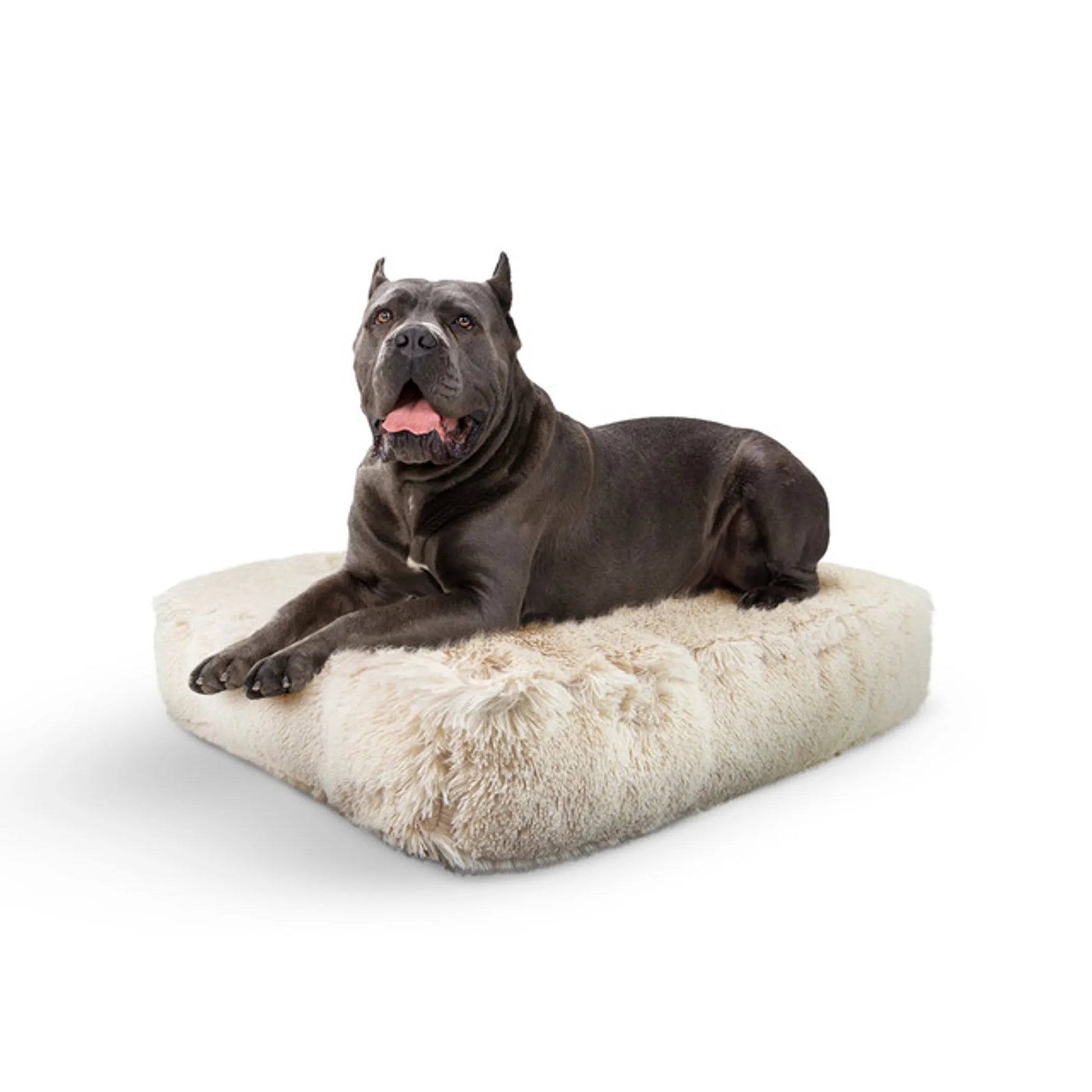 Bessie and Barnie Frosted Willow Rectangle Dog Bed Small - Luxury Plush Pet Bed with 5 Pillows & Washable Cover - Pets Perfect