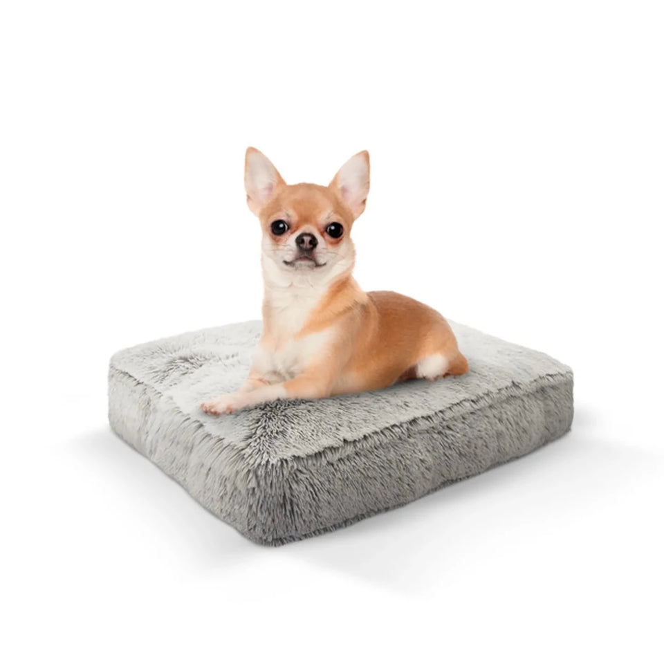 Rectangle Bed Small - Frosted Willow - Pets Perfect