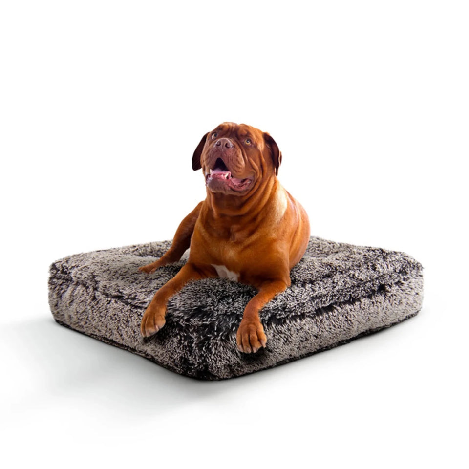 Rectangle Bed Small - Frosted Willow - Pets Perfect