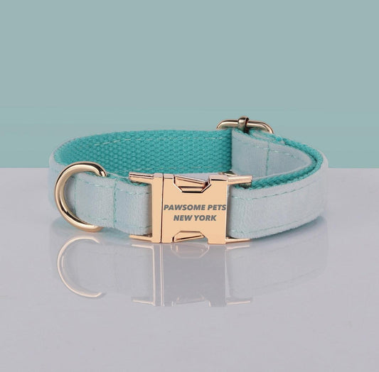 Dog collar with gold buckle on a reflective surface with a light blue background