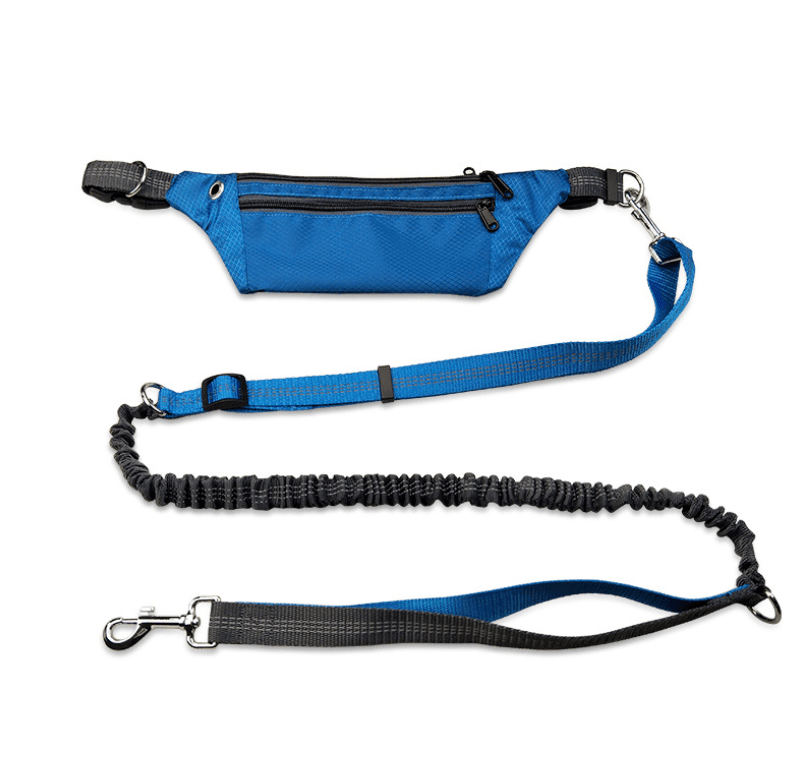 Hands - Free Dog Leash: The Ultimate Freedom For Active Dog Owners - Pets Perfect
