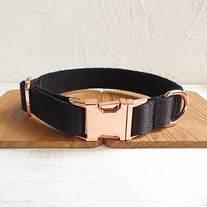 Midnight Shadow Dog Collar - Pets Perfect