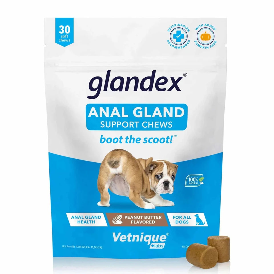 Glandex Anal Gland Soft Dog Chew Peanut Butter - Pets Perfect