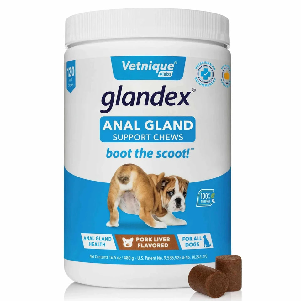 Glandex Pork Liver Soft Dog Chews Jar - Pets Perfect