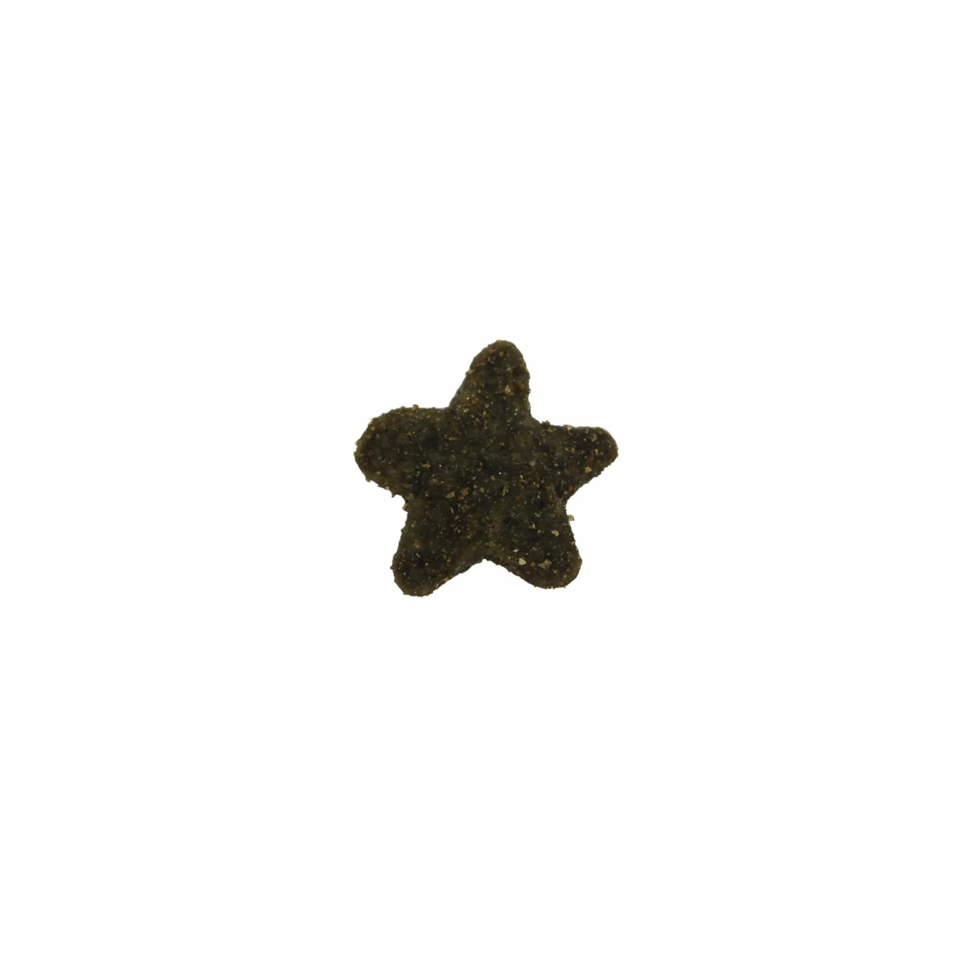 Single star-shaped cat treat close-up from KONG Cat Nibbies Chicken Cat Treats 2oz, premium pet supplies online.