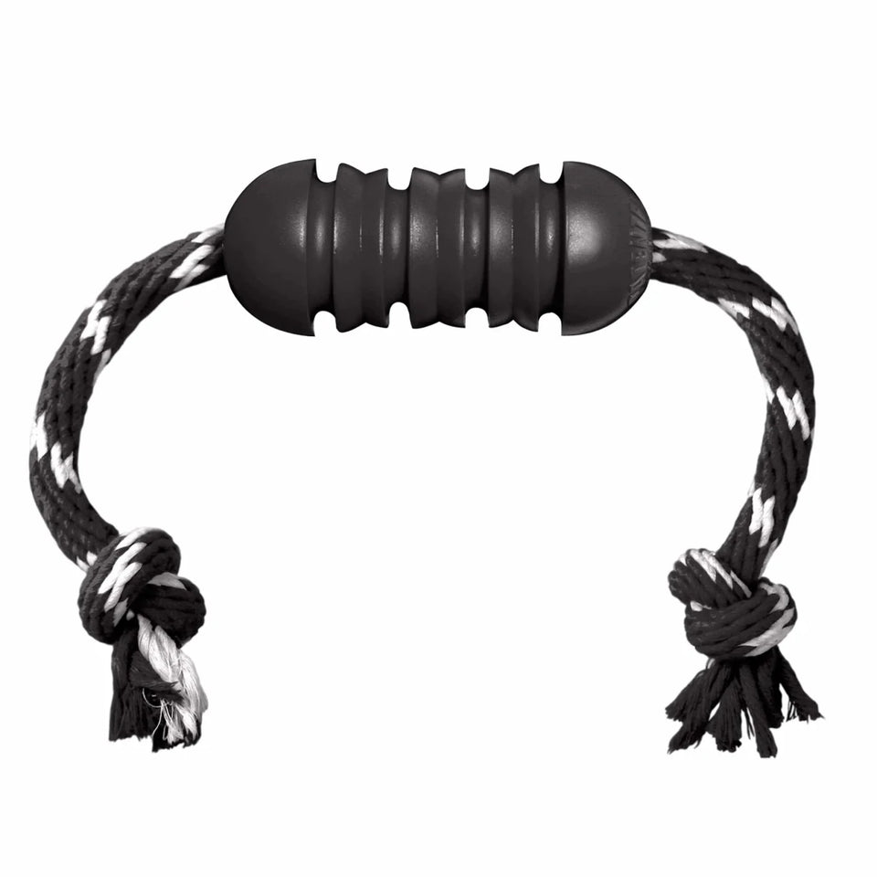 KONG E-Dog Collar EZ Clear - Pets Perfect