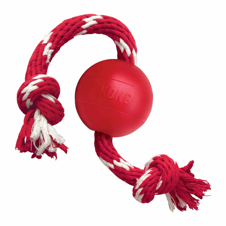 KONG Ball with Hole Dog Fetch Dog Toy - Pets Perfect