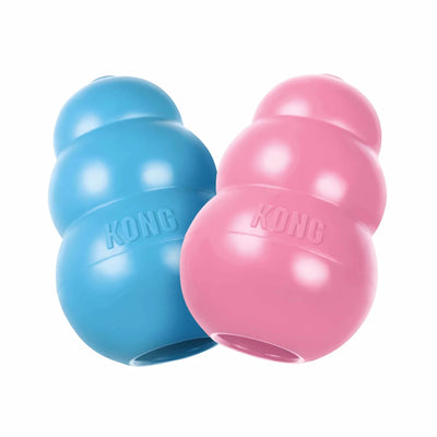 KONG Puppy Chew Dog Toy - Pets Perfect