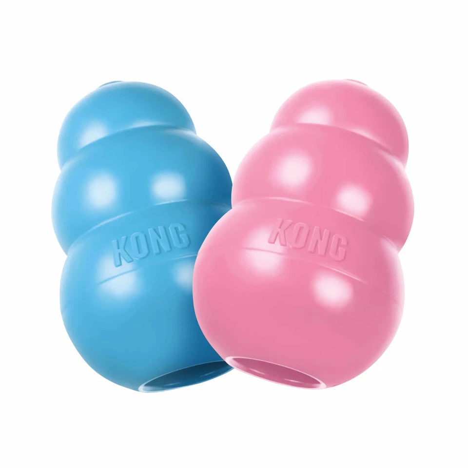KONG Puppy Chew Dog Toy - Pets Perfect
