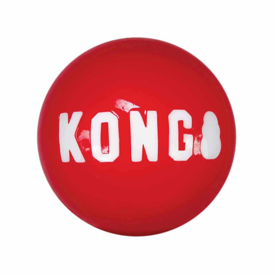 KONG Signature Balls Dog Fetch Dog Toy, LARGE 2PK/1