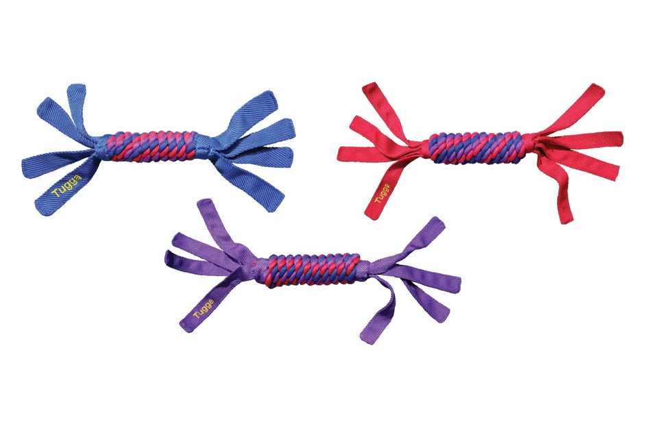 KONG Tugga Wubba Dog Tug Dog Toy Assorted - Pets Perfect