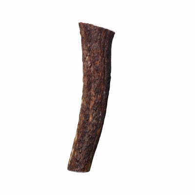 KONG Wild Antler Whole - Pets Perfect