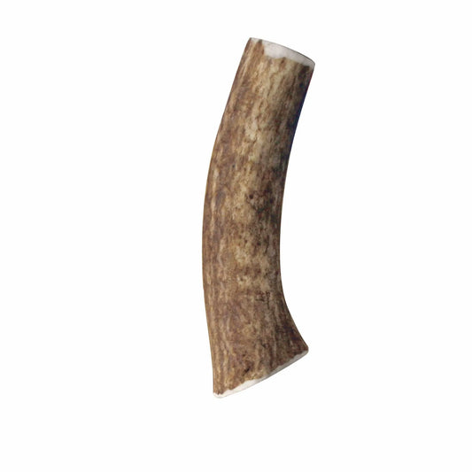 KONG(R) Wild Antler Whole - Pets Perfect