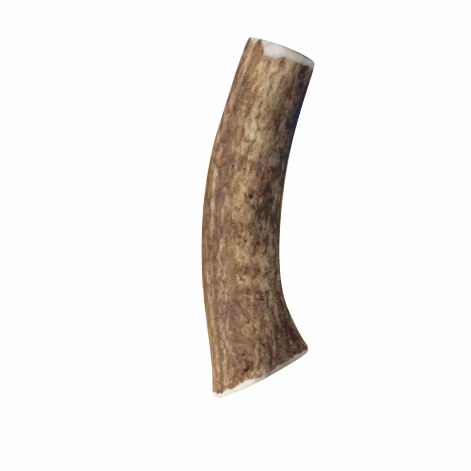 KONG Wild Antler Whole - Pets Perfect