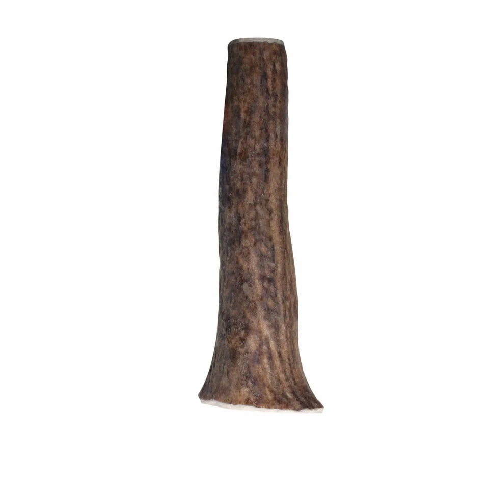 KONG Wild Antler Whole - Pets Perfect