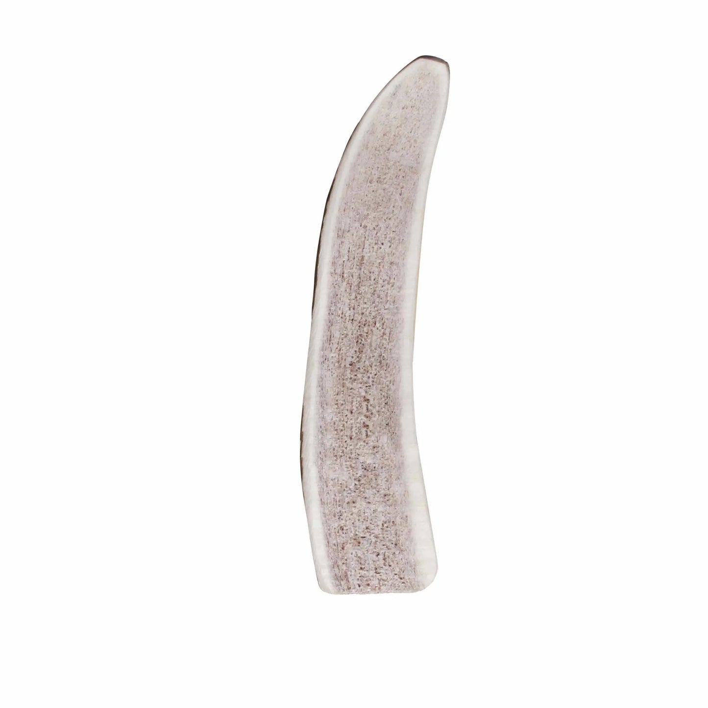Single natural chew treat made from real antler for dogs, KONG(R) Wild Antler Split product image.