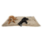 Best Friends by Sheri Blanket Shag