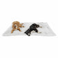 Best Friends by Sheri Blanket Shag