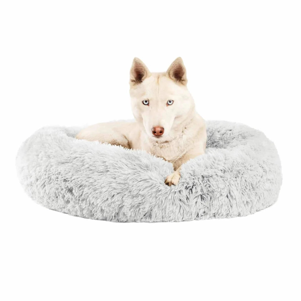 White dog resting in a light gray Best Friends by Sheri shag donut bed