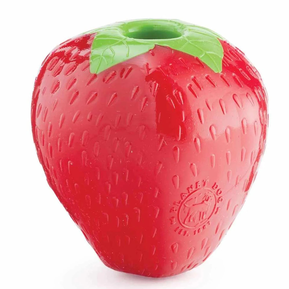 Planet Dog Orbee-Tuff Strawberry Treat-Dispensing Dog Chew Toy Red - Pets Perfect
